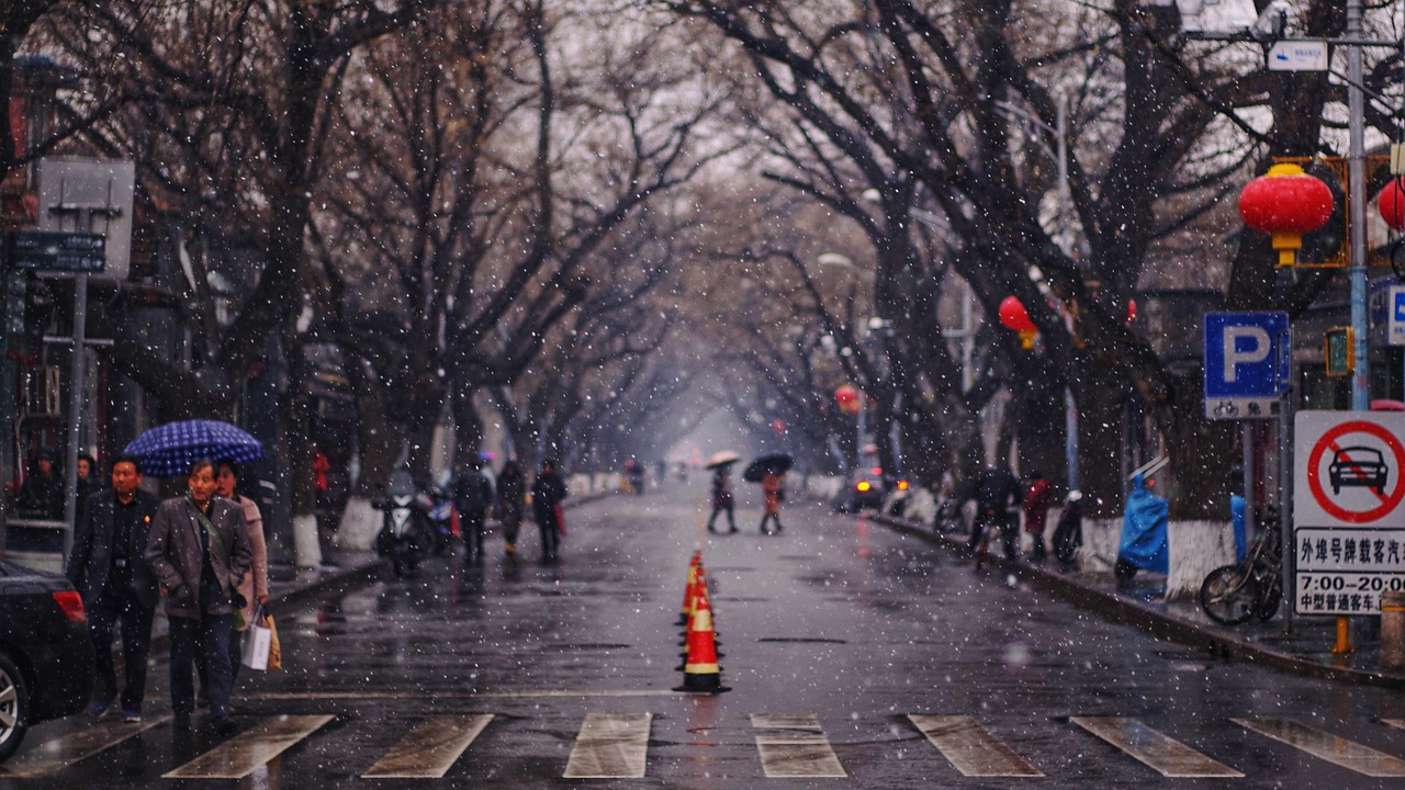 snow winter beijing nature street