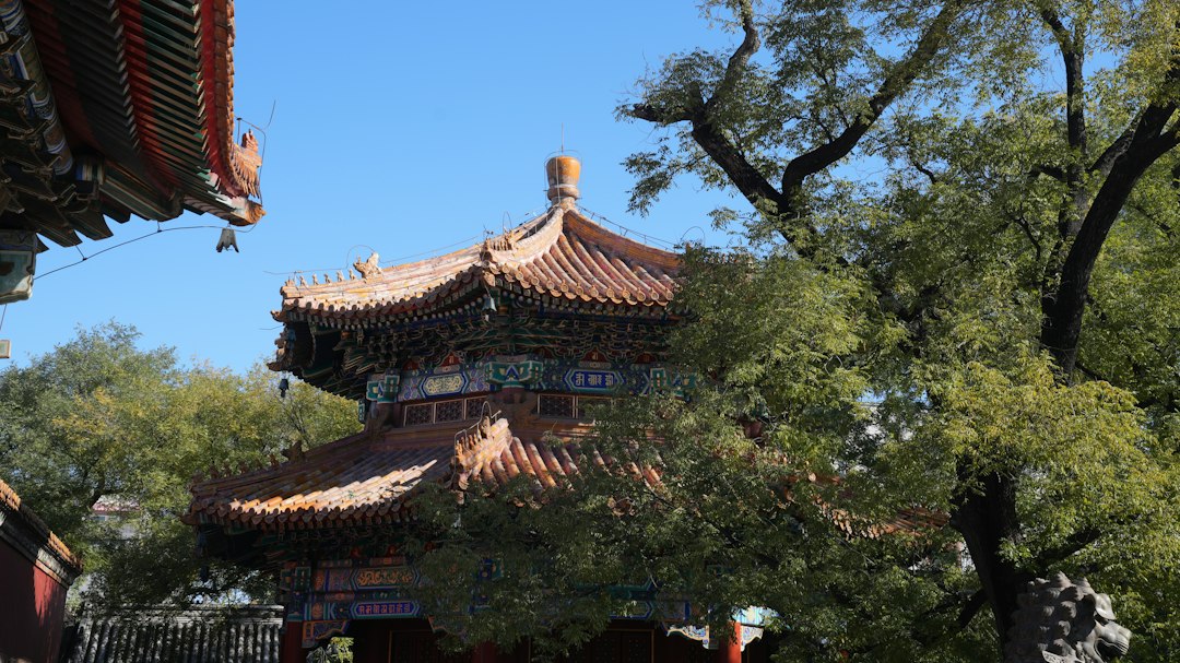 Traditional chinese temple roof with trees and blue sky