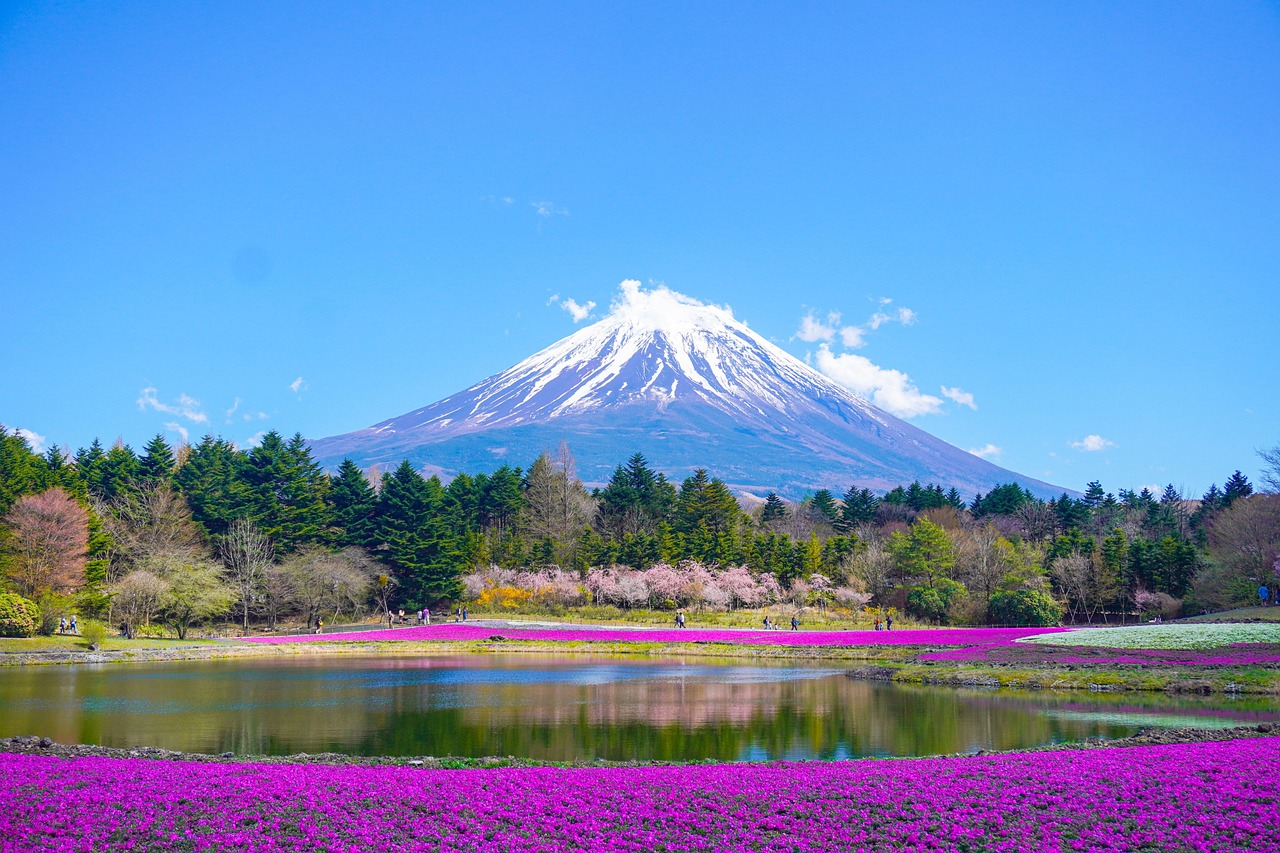 mount fuji  lake  nature  flower background  flower wallpaper  mountain  park  flowers  beautiful flowers  japan  spring