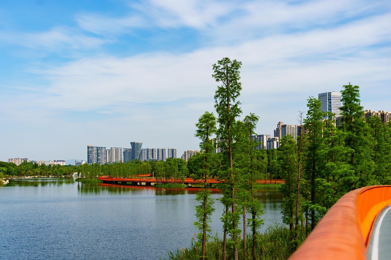 asia  chengdu  lake  china  city  tianfu greenway  landscape  park  nature