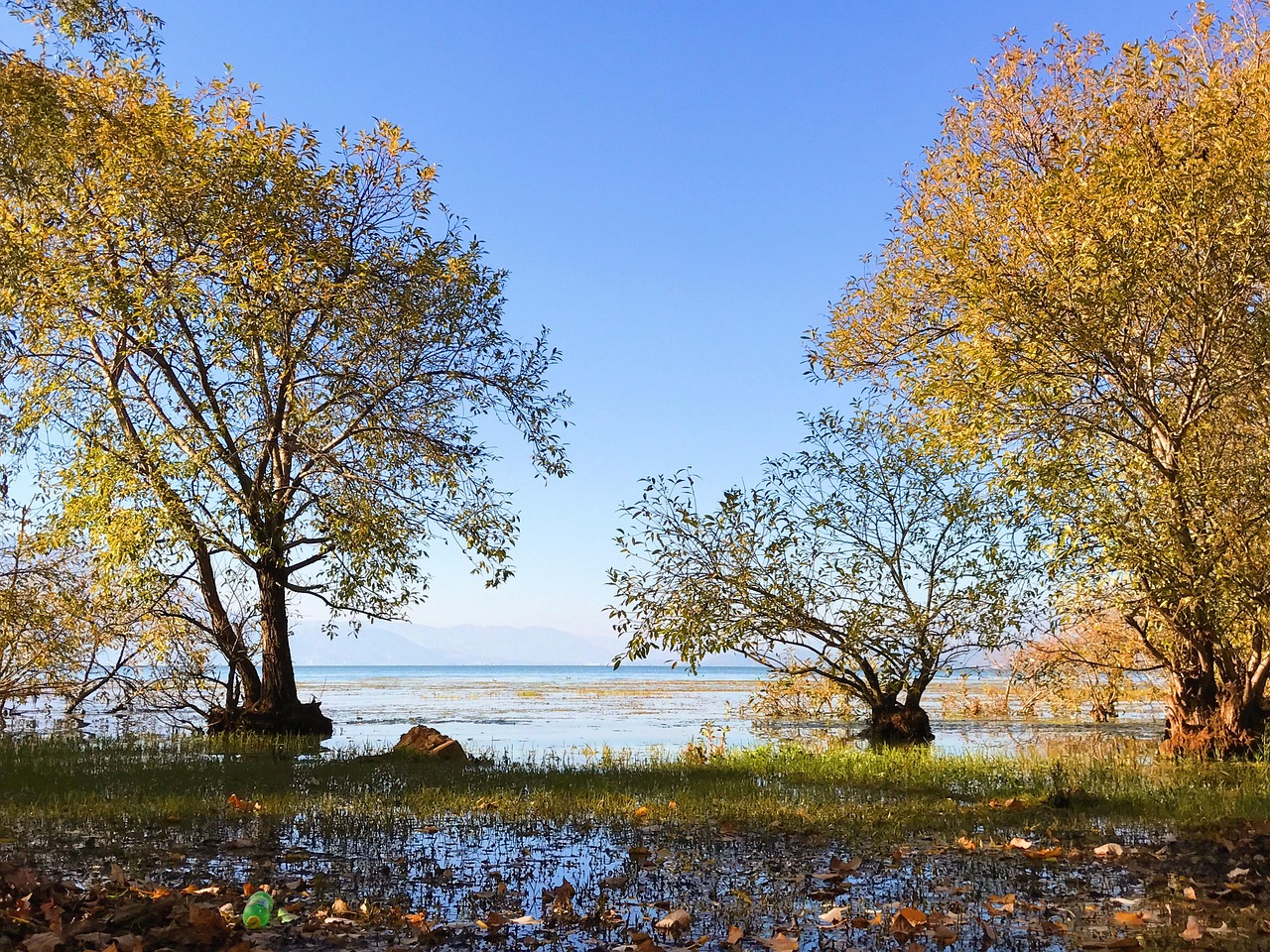 erhai lake nature yunnan double corridor autumn tree China Yunnan Dali
