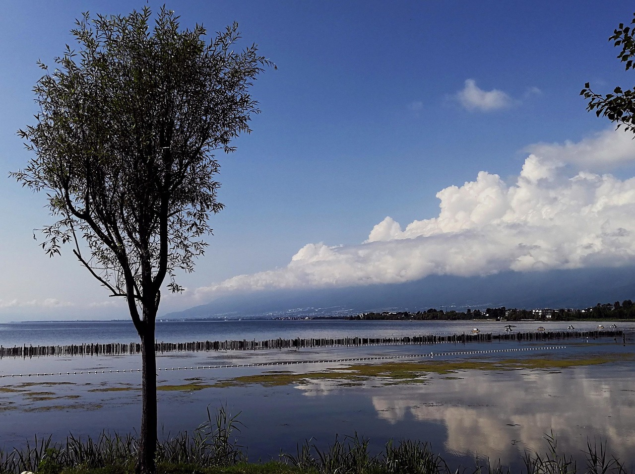 water  reflection  tree  cloud  nature  blue sky  China  Yunnan  Dali