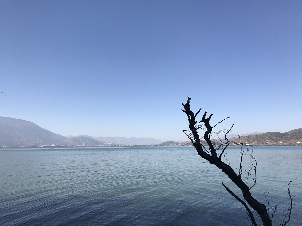 erhai lake yunnan double corridor dead tree China Yunnan Dali