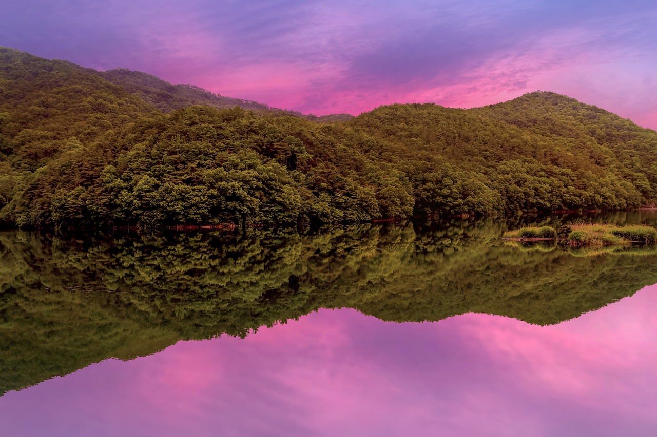lake  pond  reservoir  glow  reflection  trees  woods  forest  guangzhou  mudeungsan  korea  water  travel  scenery  nature