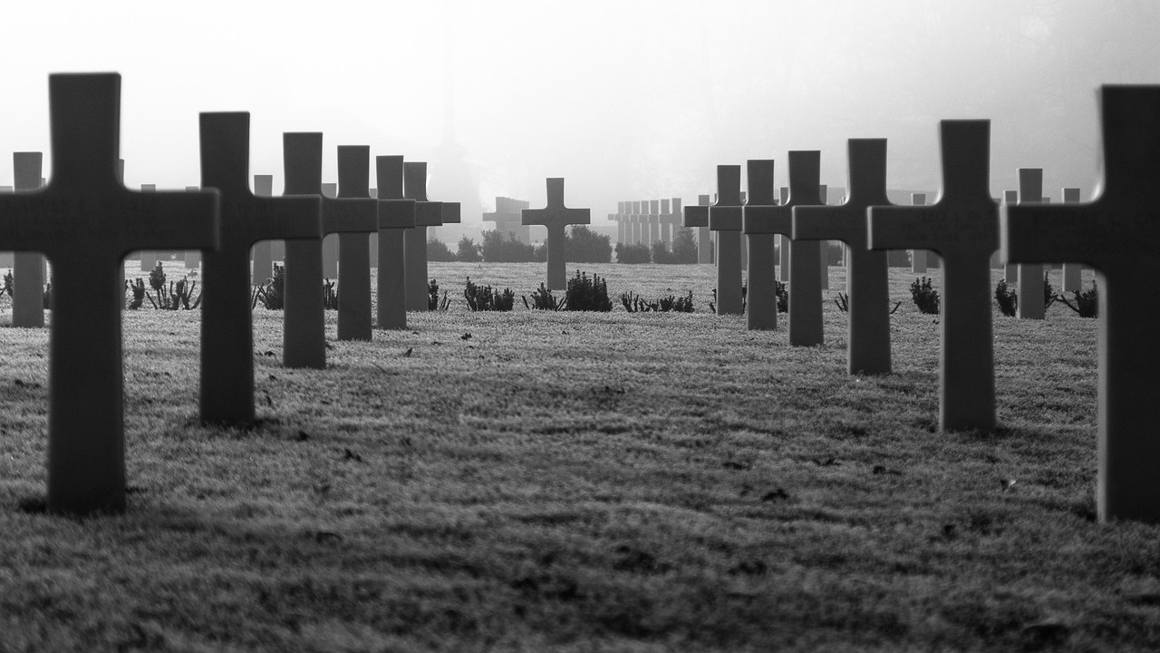 war memorial  remembrance day  military  cemetery  monument  veteran  gray war  gray memory  remembrance day  remembrance day  remembrance day  remembrance day 
