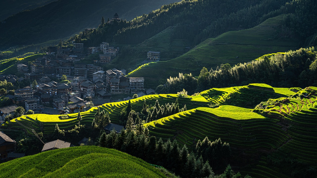 longji rice terraces  rice terraces  rice field  paddy  mountains  guilin  nature  sunset  village  landscapes