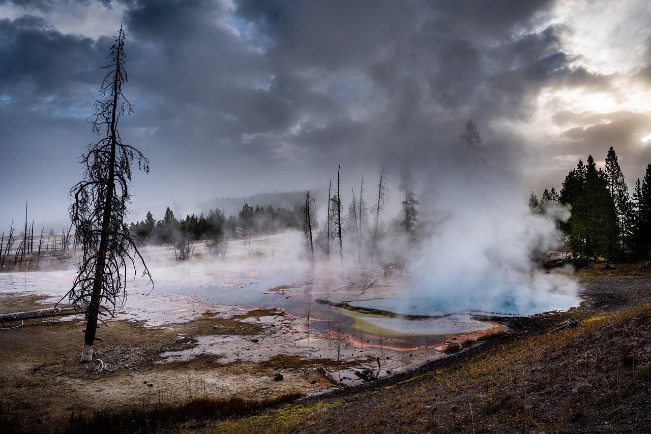 geyser  yellowstone  wyoming  landscape  nature  hot  water  geothermal  scenic  volcanic  trees  spring  cloudy  moody  steam
