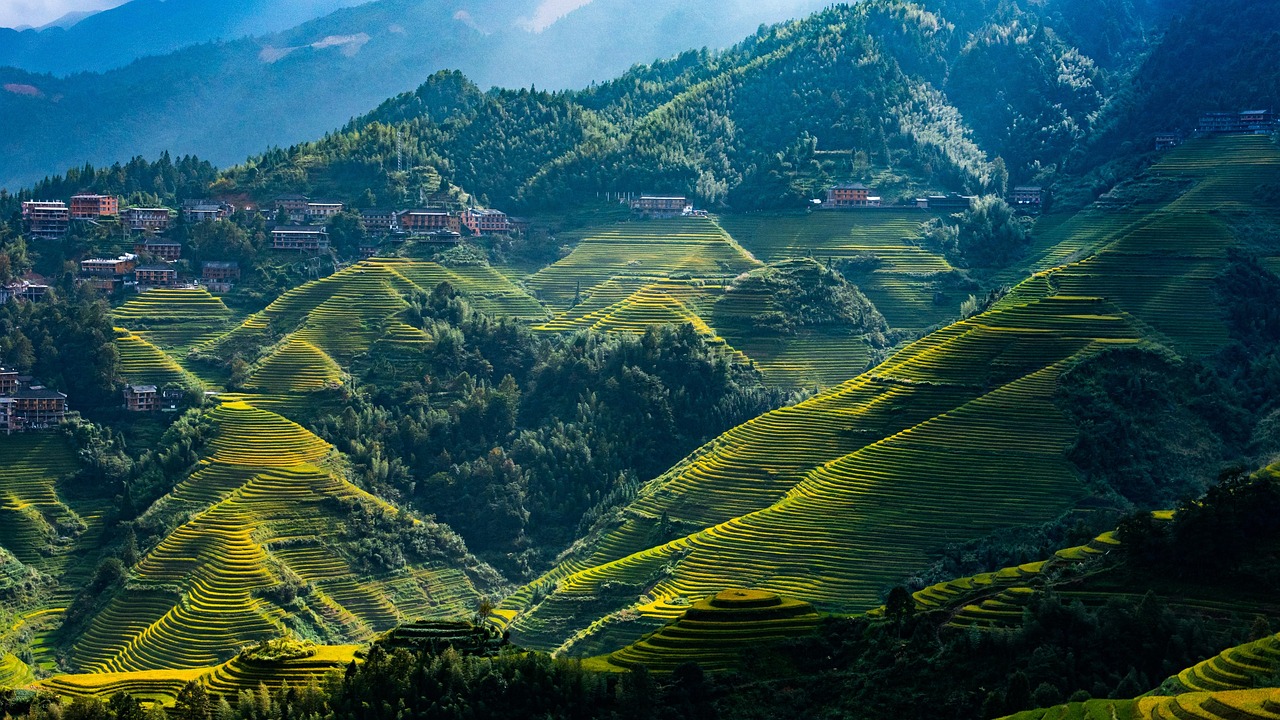 longji rice terraces  nature  landscape  rice fields  fall  town  mountains  trees  forest  autumn  guilin  china  guilin  guilin  guilin  guilin  guilin