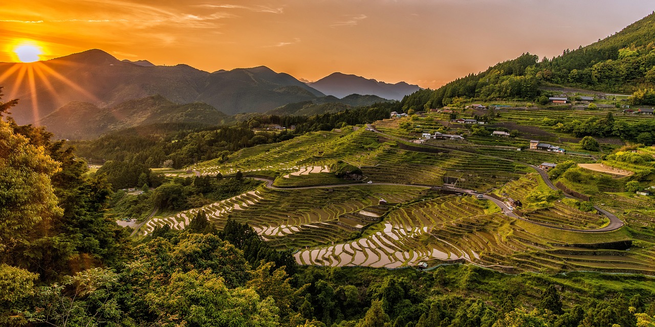 rice terraces  sunset  mountains  rice paddies  farm  farming  rice farm  plantation  agriculture  landscape  nature  maruyama senmaida  japan  panorama  panora