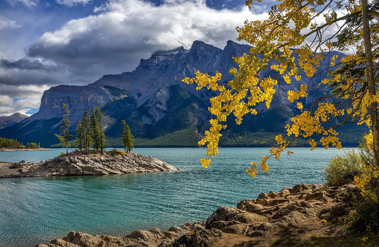 lake  mountains  banff national park  islet  bank  rocky  water  trees  leaves  branches  fall  autumn  fall foliage  scenery  scenic  nature  banff  lake minne