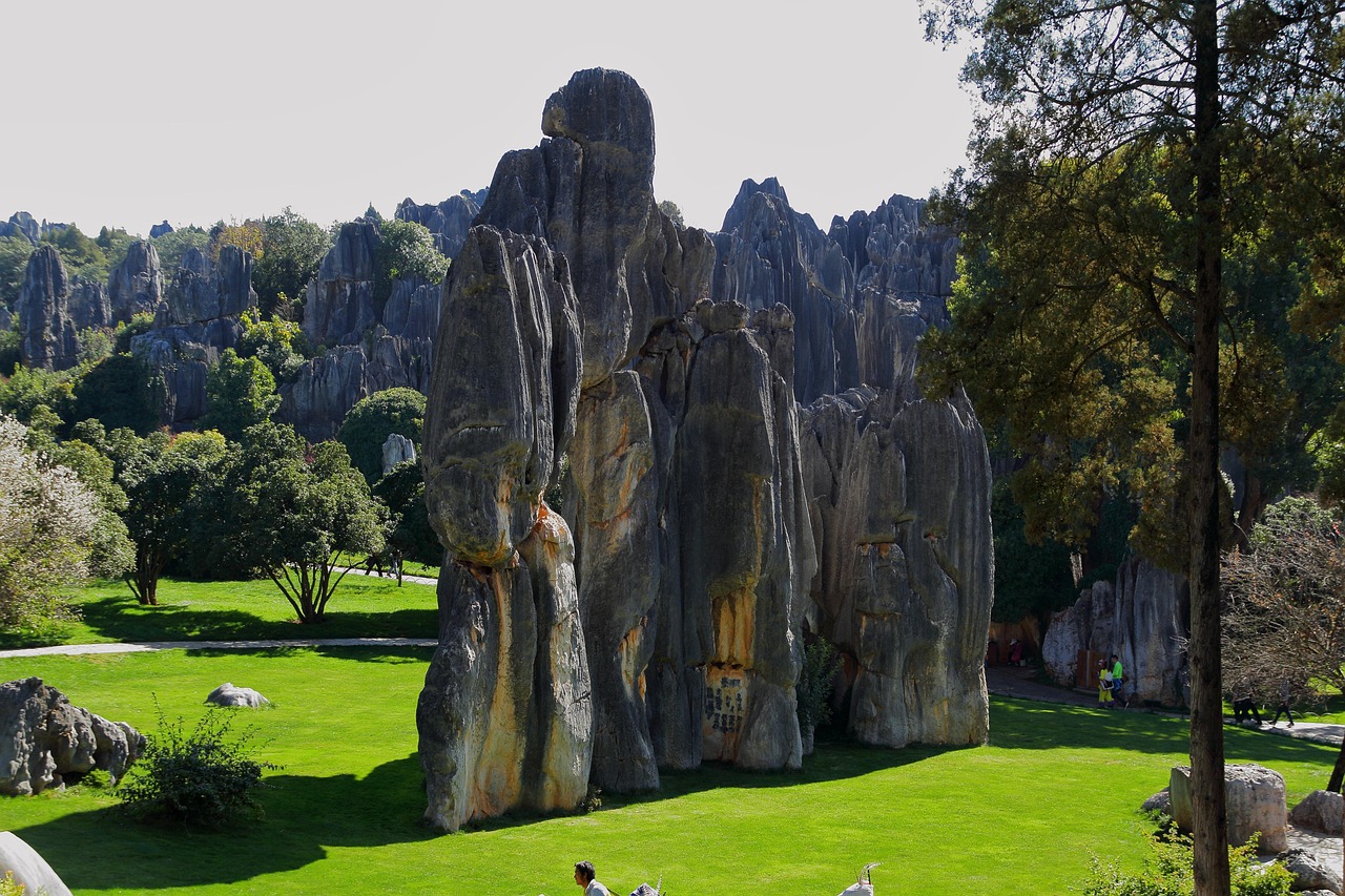 china stones kunming stone forest landscape figure china china china china china kunming kunming kunming kunming