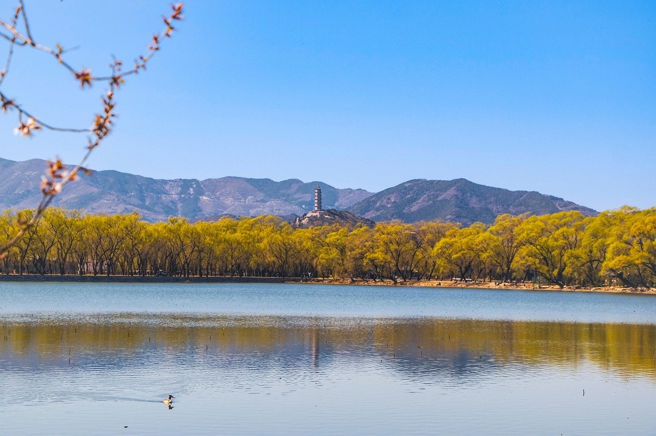 lake kunming lake summer palace china tourist attraction hill sky pagoda mountains skyline peach blossom bloom blossom blooming spring flowers