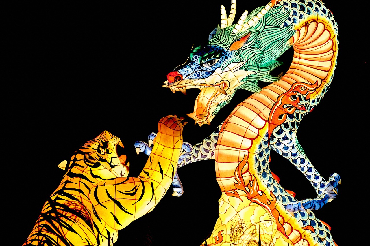 tiger dragon summer lantern festival light glow korea south korea asia black summer nature black dragon