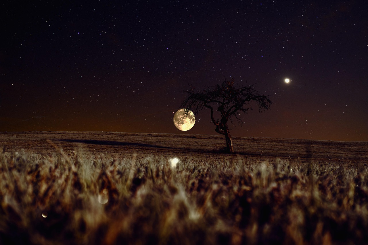 sky  moon  night  evening  night sky  full moon  moonlight  venus  stars  field  meadow  landscape  scenery  nature  moon  moon  moon  moon  moon  night sky  mo