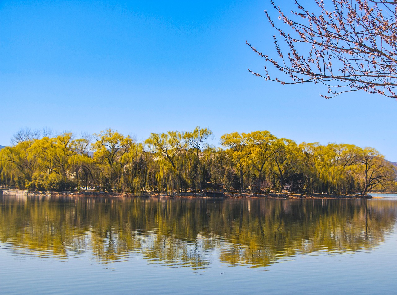 lake  kunming lake  summer palace  china  tourist attraction  sky  skyline  peach blossom  flowers  bloom  blossom  blooming  spring flowers  forest  trees  nat