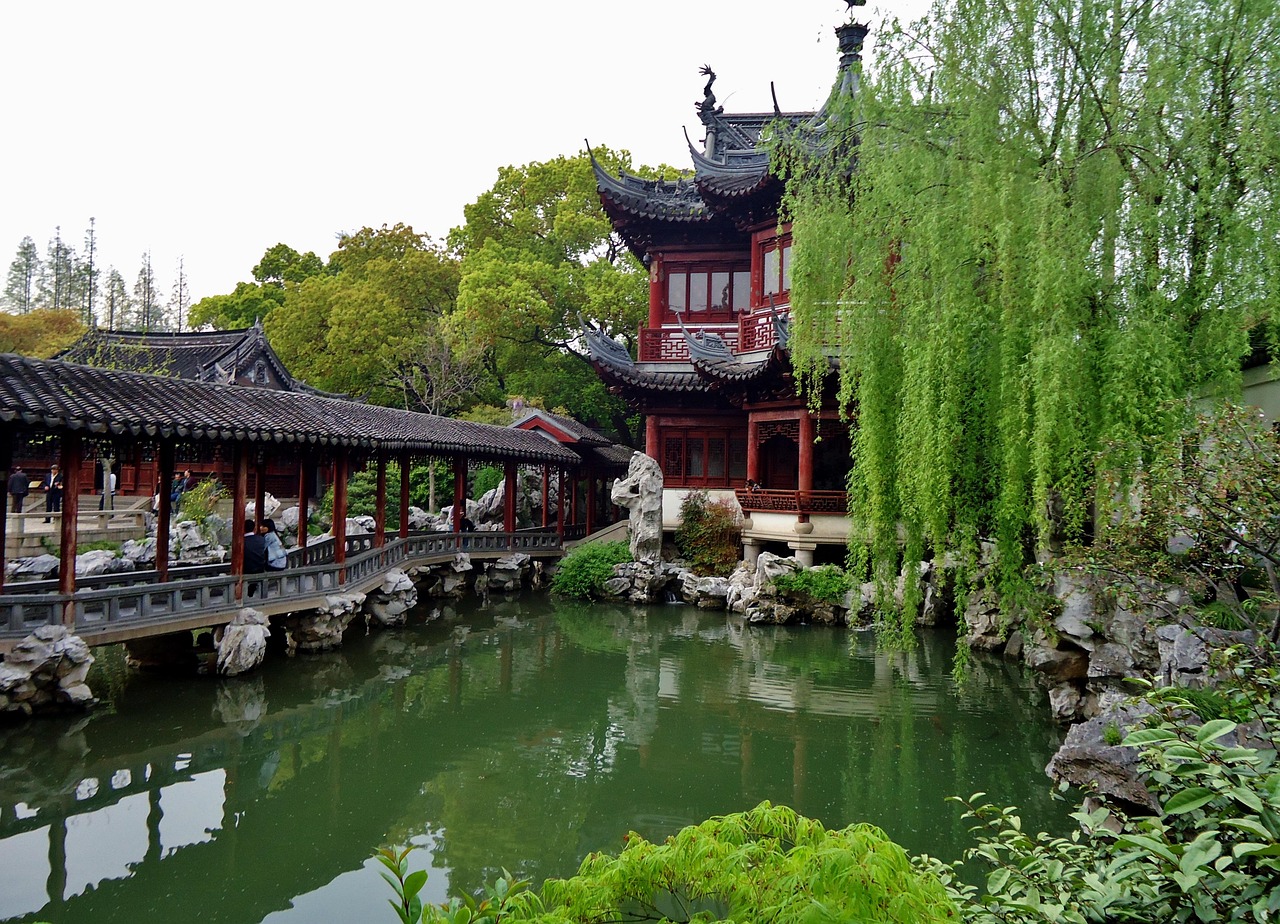 garden temple china shanghai basin water tree green zen nature china shanghai shanghai shanghai shanghai shanghai