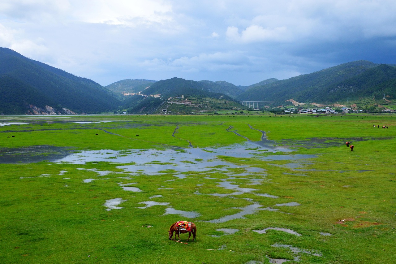 yunnan  grassland  shangri-la  yunnan  yunnan  yunnan  yunnan  yunnan  shangri-la  shangri-la  shangri-la  shangri-la