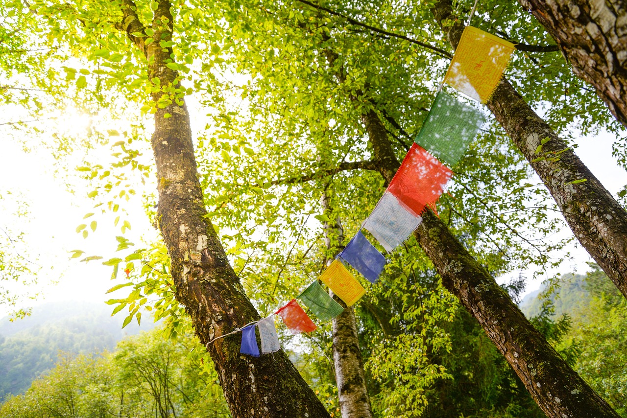 tibet flags buddhism flag prayer tibetan prayers color lhasa china believe ben-hadad zhongdian basong india culture outdoor shangri-la religio