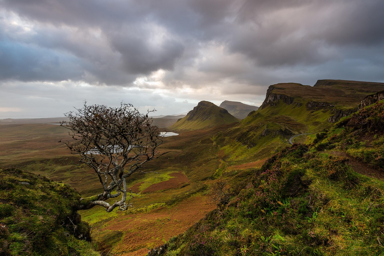 scotland  isle of skye  quiraing  cloudy day  overcast  gloomy  nature  bush  sunrise  clouds  landscape  scotland  scotland  scotland  scotland  scotland  clou