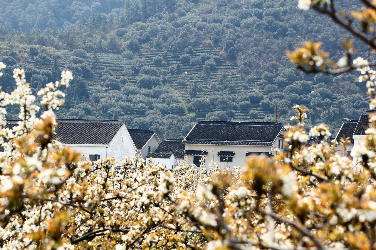 suzhou tree hill ewha farmhouse suzhou suzhou suzhou suzhou suzhou