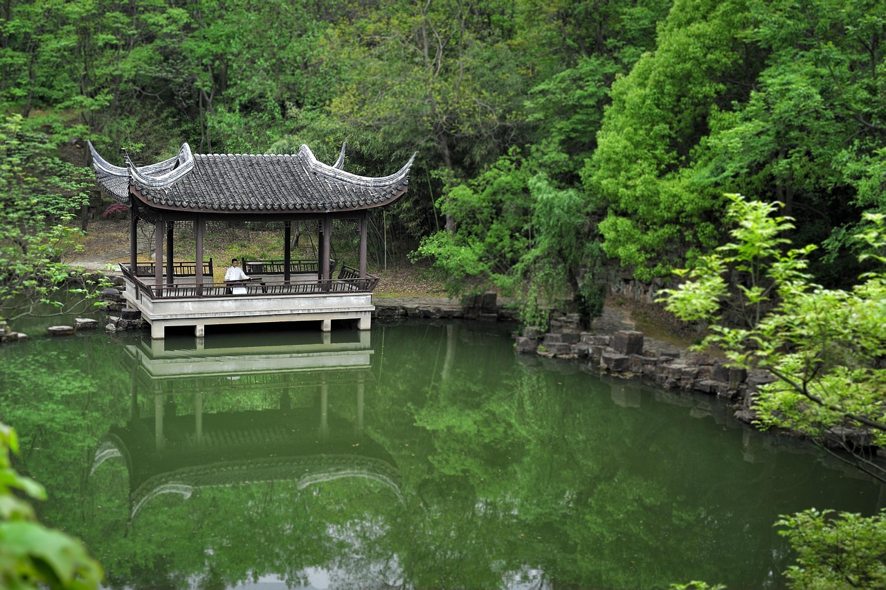 pavilion  performance  companion  piano  quiet  oriental  traditional  ancient  chinese  playing  performer  artist  suzhou  birdsong  soulmates  guqin  high mo