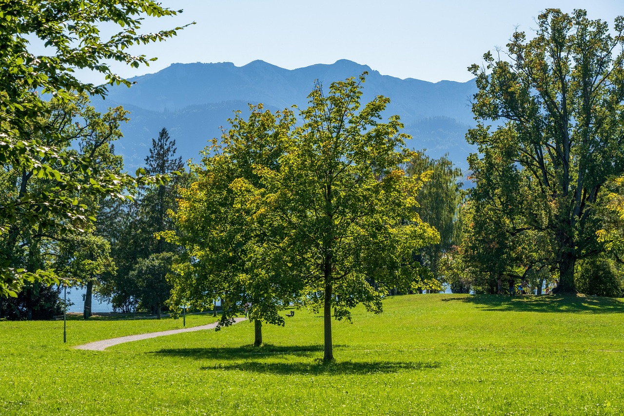 landscape nature park trees mountains scenic green area relaxation meadow walking trails lake lakes area green area green area green area green a
