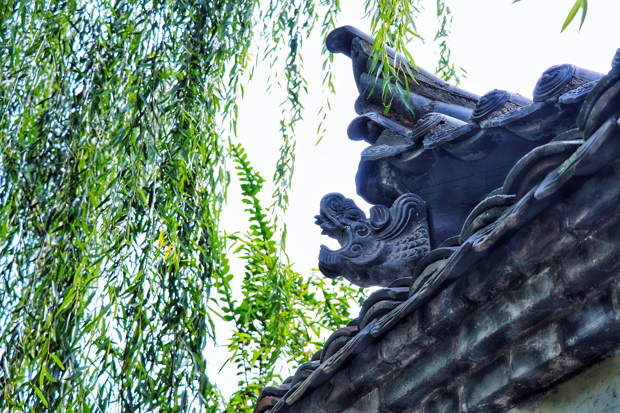 china  shaanxi province  xi'an  building  travel  historic site  history  culture  eaves