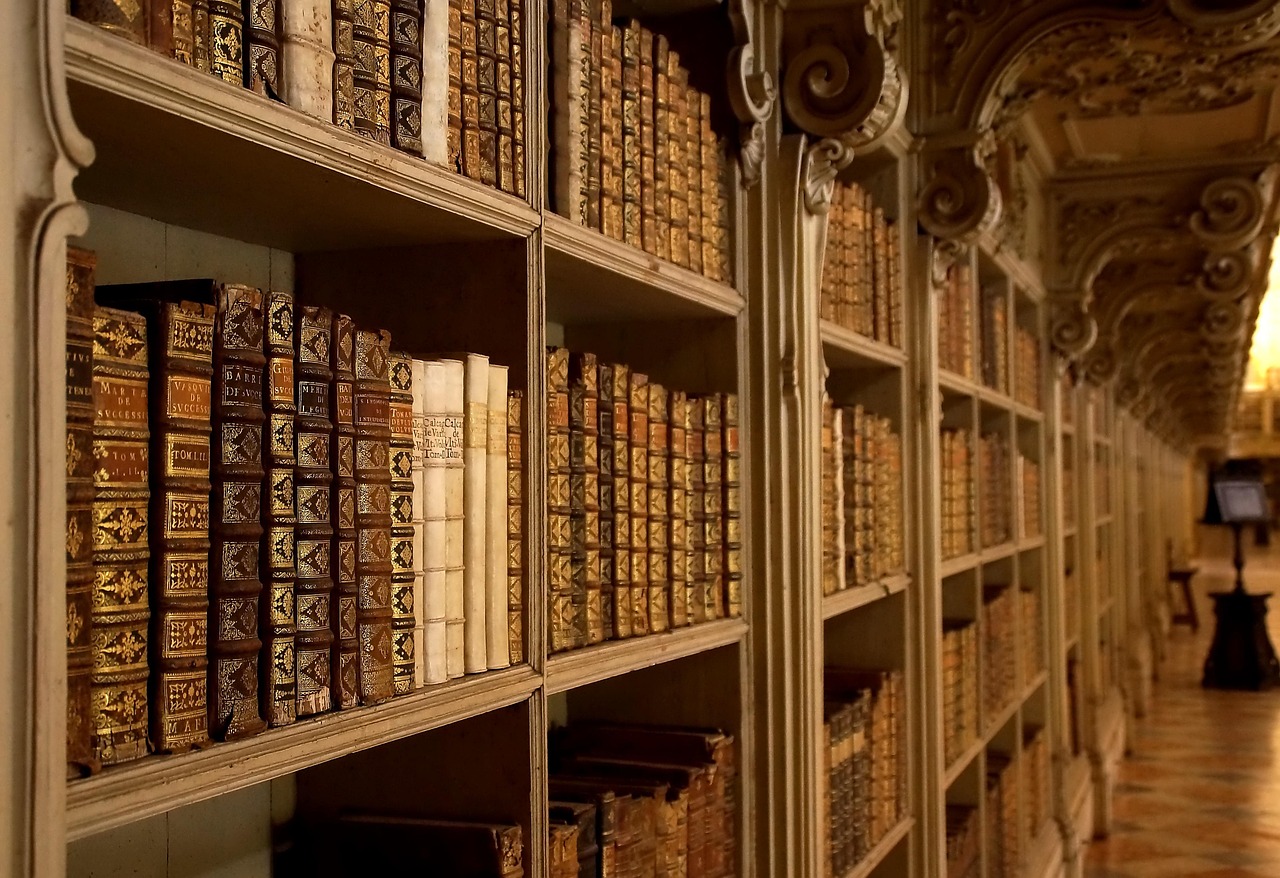 palacio nacional de mafra library books portugal mafra national palace of mafra bookshelf shelf old books vintage antique literature library librar
