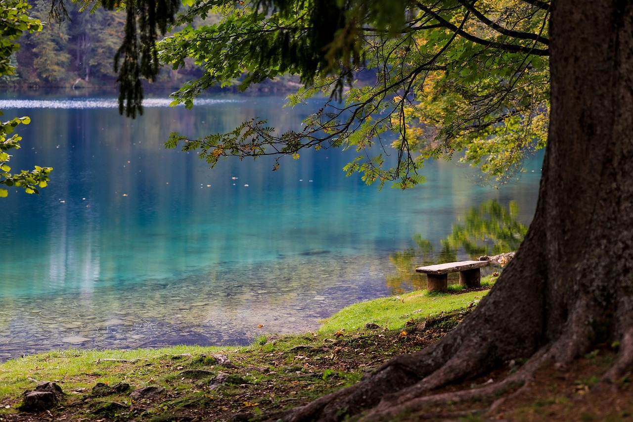 lake  forest  park  bench  tree  wood  water  reflection  nature  serenity  mood  scenery  scenic  lake  lake  lake  lake  lake  forest  park  park  bench  sere