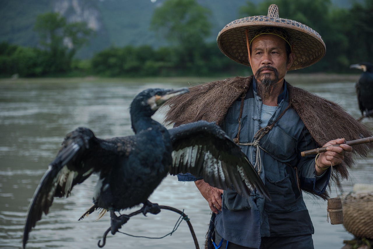 cormorant fisherman  cormorants  birds  portraits  people  yangshuo  nature  guilin  china