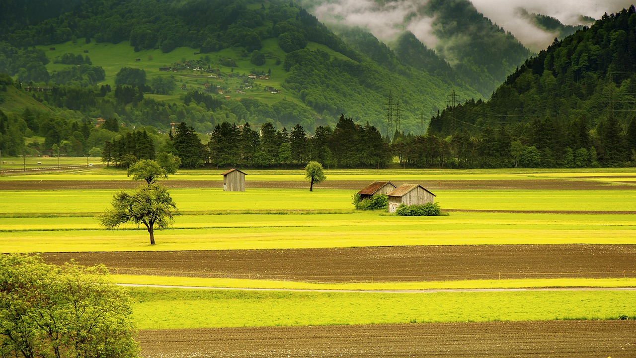 field  valley  landscape  countryside  meadow  farm  rural  hut  arable  village  nature  grüsch  schiers  graubünden  grisons  switzerland  field  landscape  f