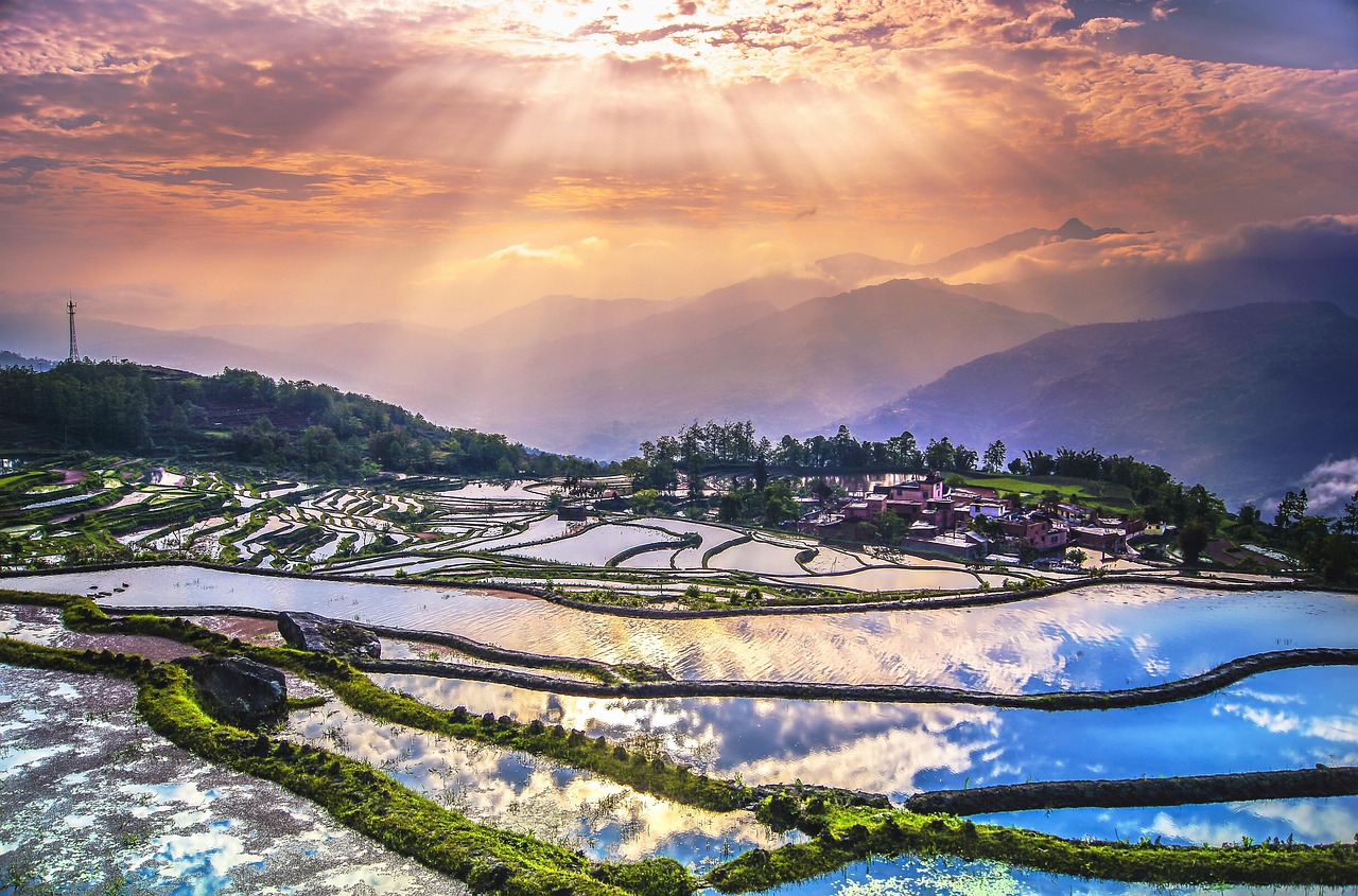 terraces  yunnan  nature  china  sunrise
