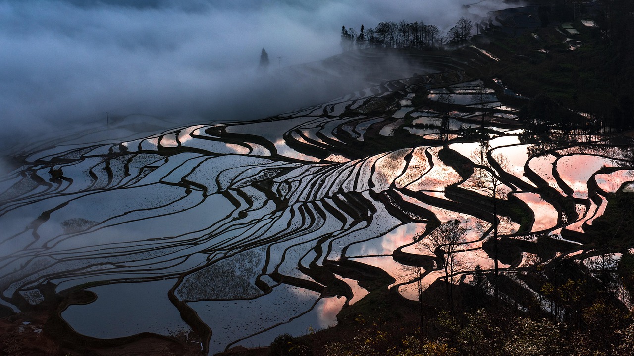 fields sunrise village reflections yuanyang rice terraced fields yunnan glow light landscape nature mercier zeng yunnan yunnan yunnan yunnan yunn