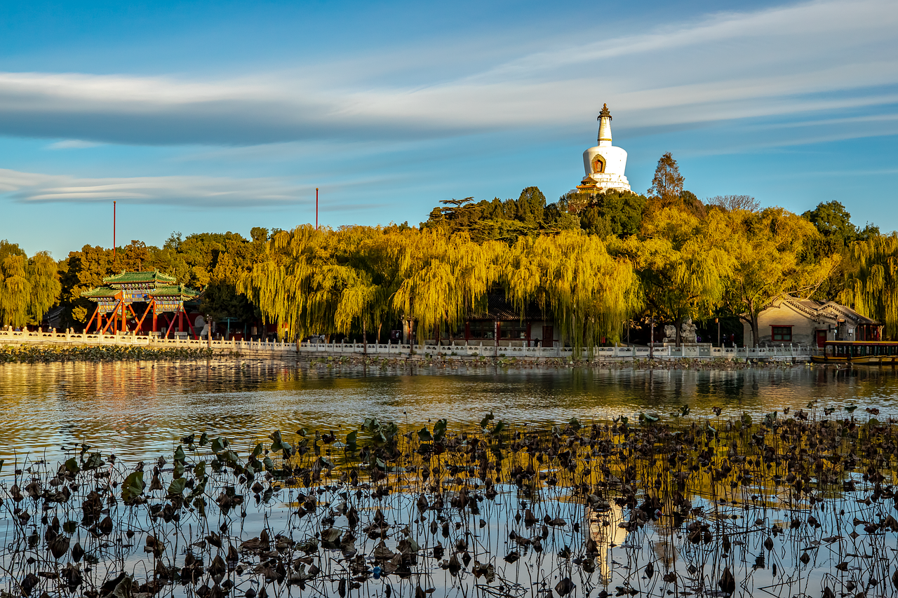 beihai park nature lake park white tower landmark photography landscape