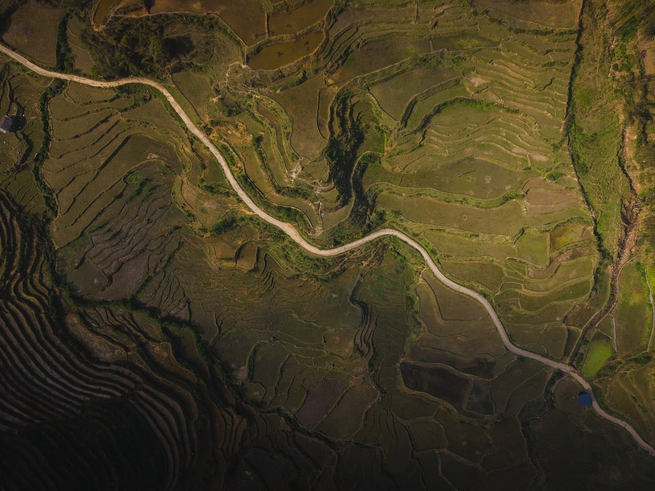 rice terraces  aerial view  winding road  agricultural landscape  mac wallpaper  4k wallpaper  windows wallpaper  rural scenery  sunlit valley  wallpaper 4k  wa