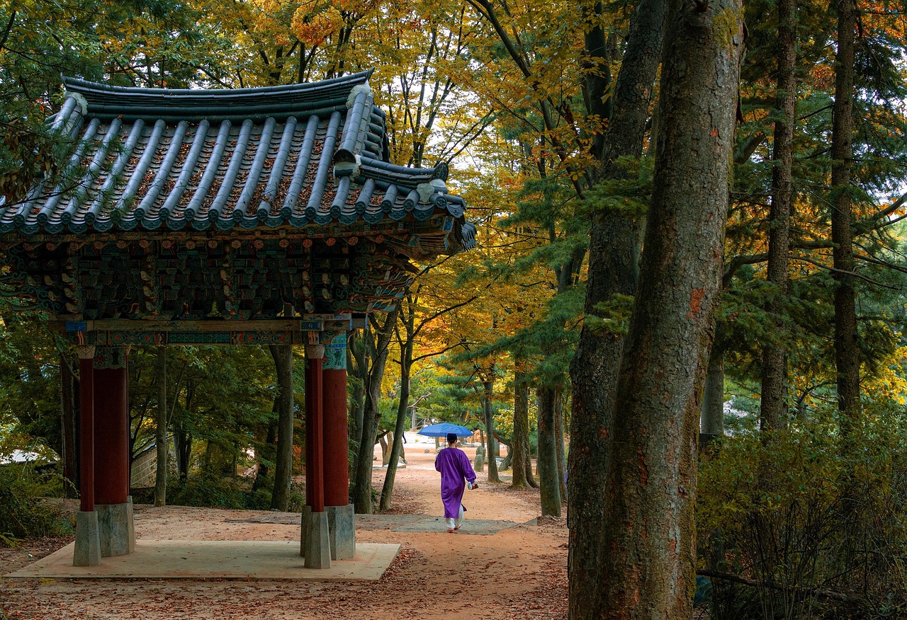 korean folk village  forest  trees  stroll  fall  autumn  garden  park  culture  village  traditional  history  tourism  hanok  minsok village  minsokchon  nams