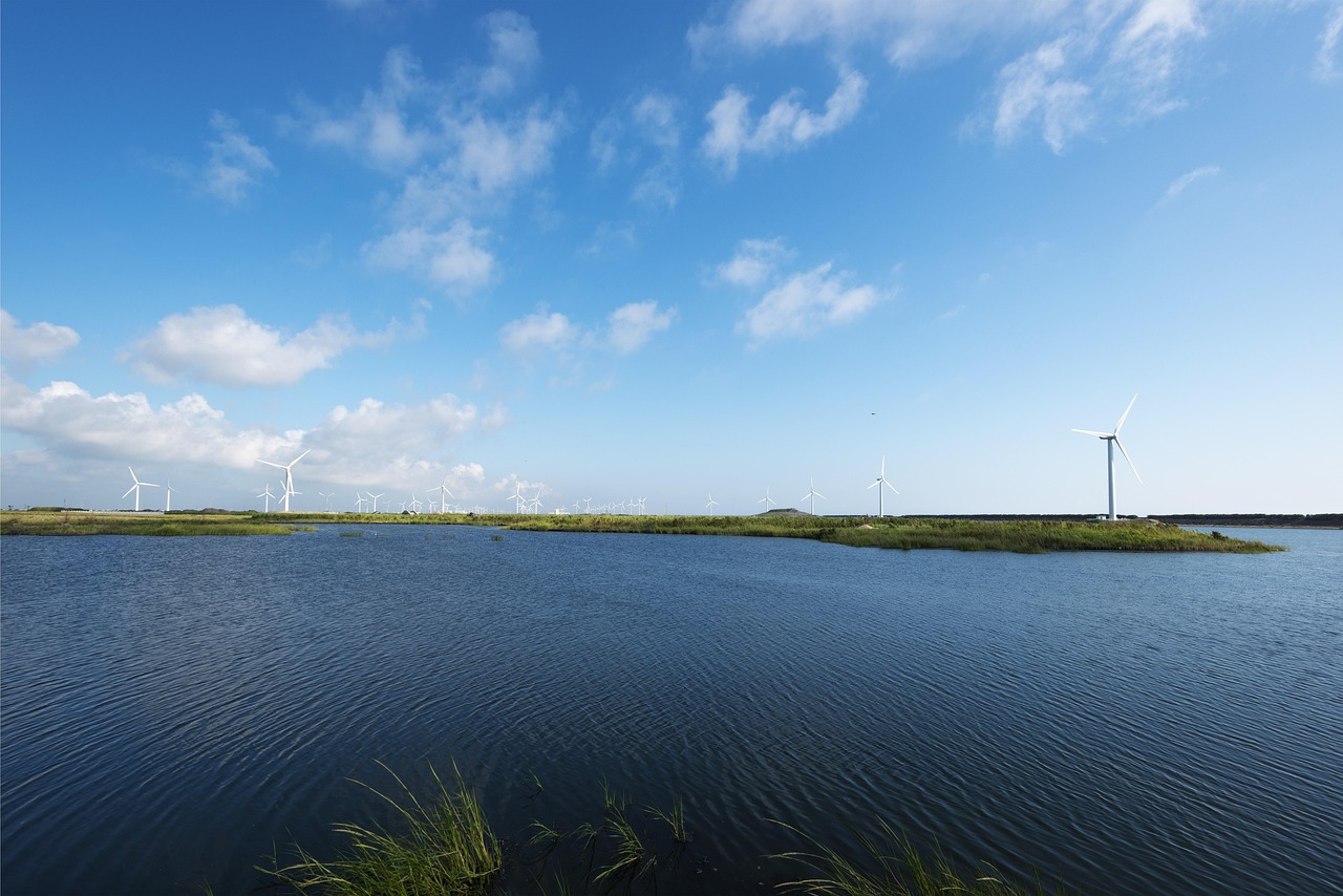 lake surface  water surface  wetland park  gold beach scenic area