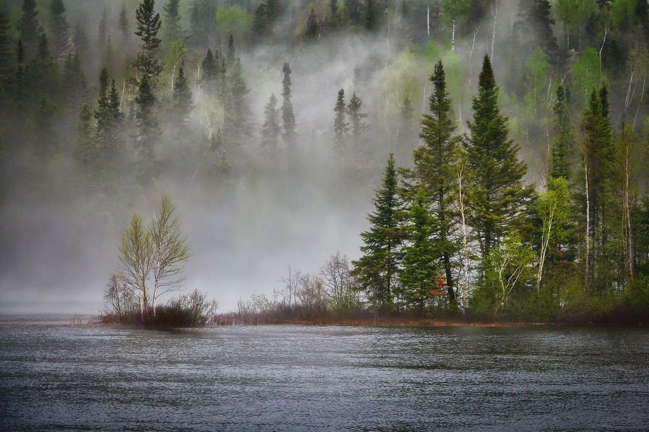 river forest fog landscape trees conifers mist lake spring climate change ecosystem ecology wetland biodiversity national park nature reserve qu