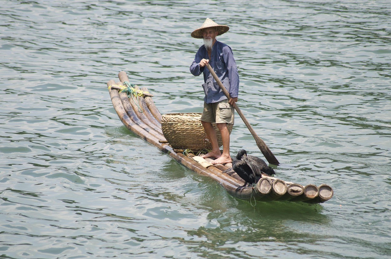 china cormorant lijiang river fishing traditional guilin li river china cormorant cormorant cormorant guilin guilin guilin guilin guilin li rive
