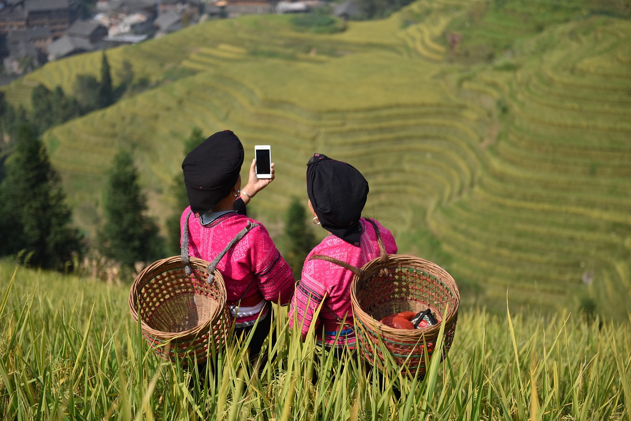 women china yao minority minority women guilin longji longji rice terraces rice autumn use phone village nature countryside china china china ch