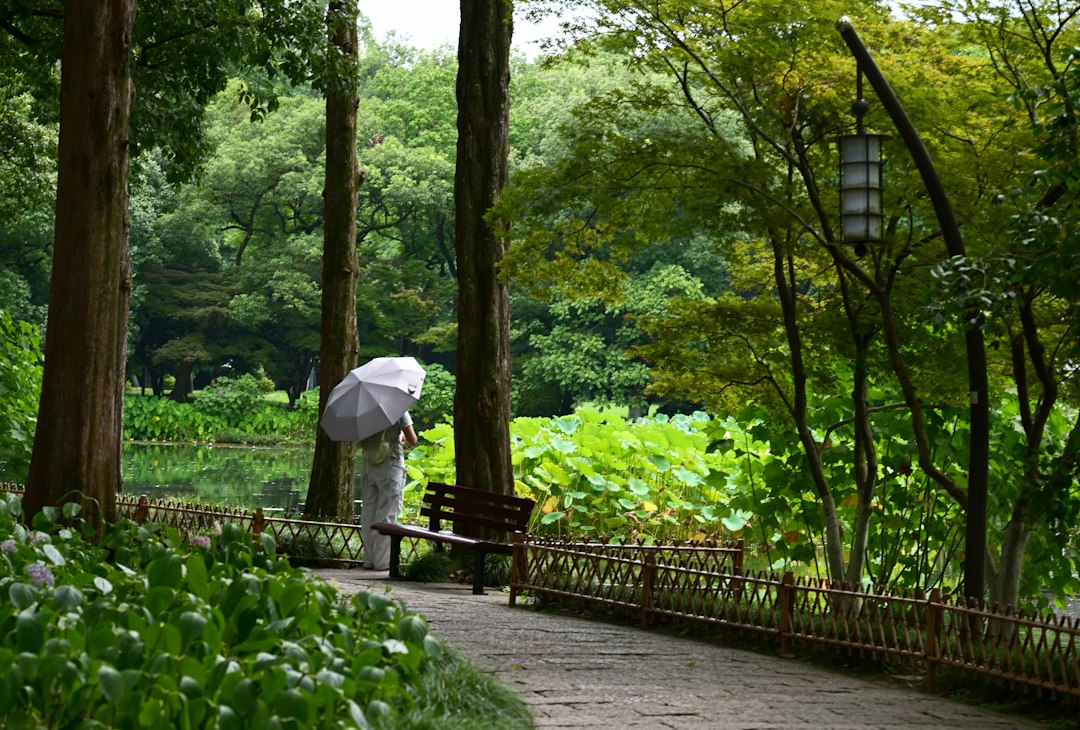 A person walks with an umbrella on a park path