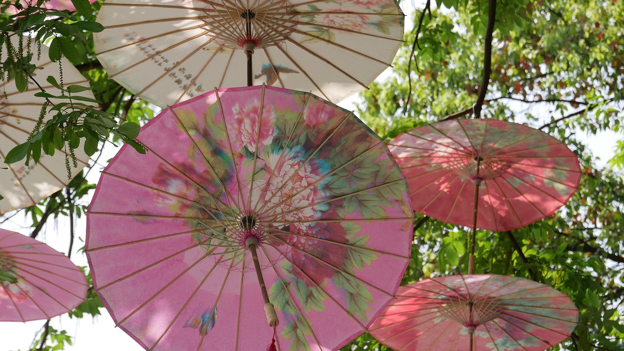 plant garden nature tree park china hangzhou multicoloured umbrella