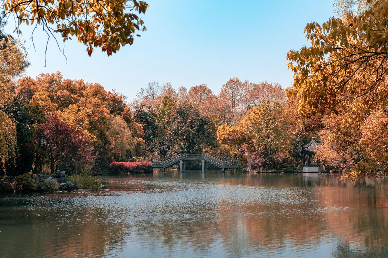 autumn scenery nature lake water west lake hangzhou tree bridge