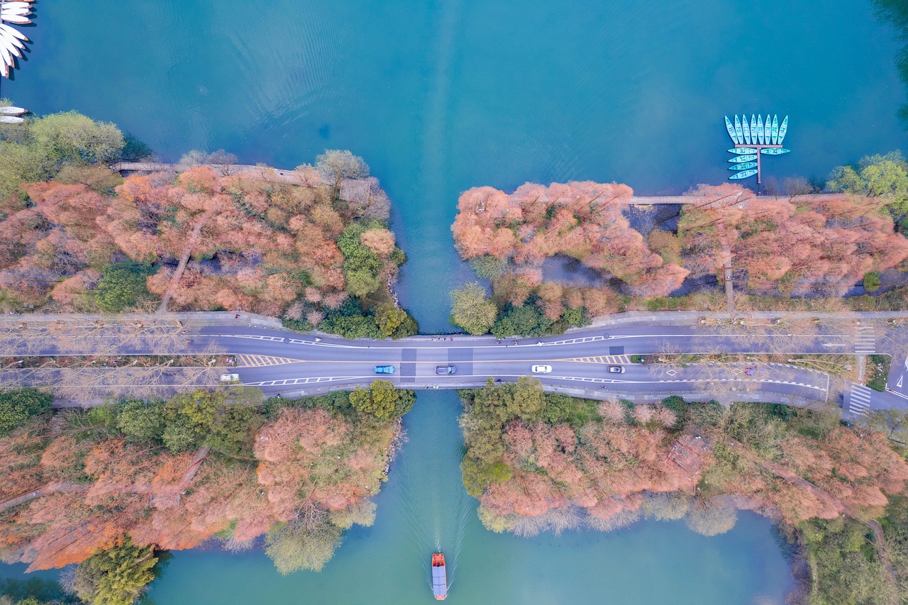 hangzhou west lake  west lake  scenery  forest  nature  travel  exploration  outdoors