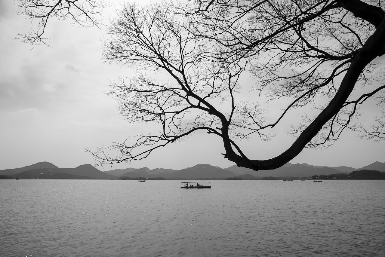 hangzhou  west lake  scenery  cruise ship  silhouettes  hangzhou  hangzhou  hangzhou  hangzhou  hangzhou
