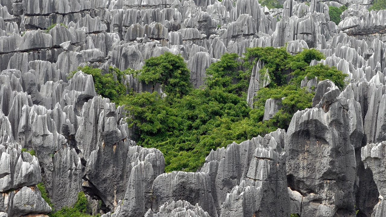 china kunming stone forest stones china china kunming kunming kunming kunming kunming