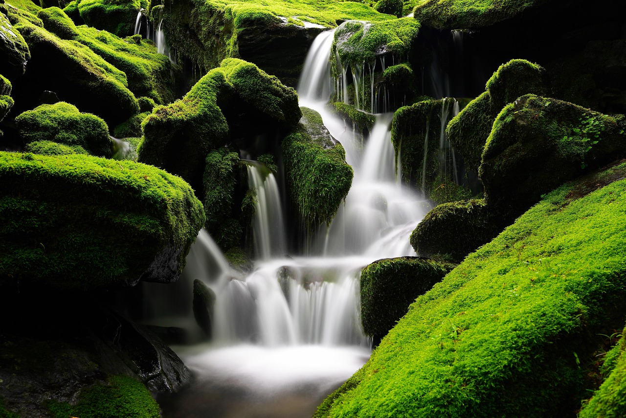 waterfall moss korea mountain valley green forest tree clean cool brook rock environment scenery nature water landscape waterfall waterfall w