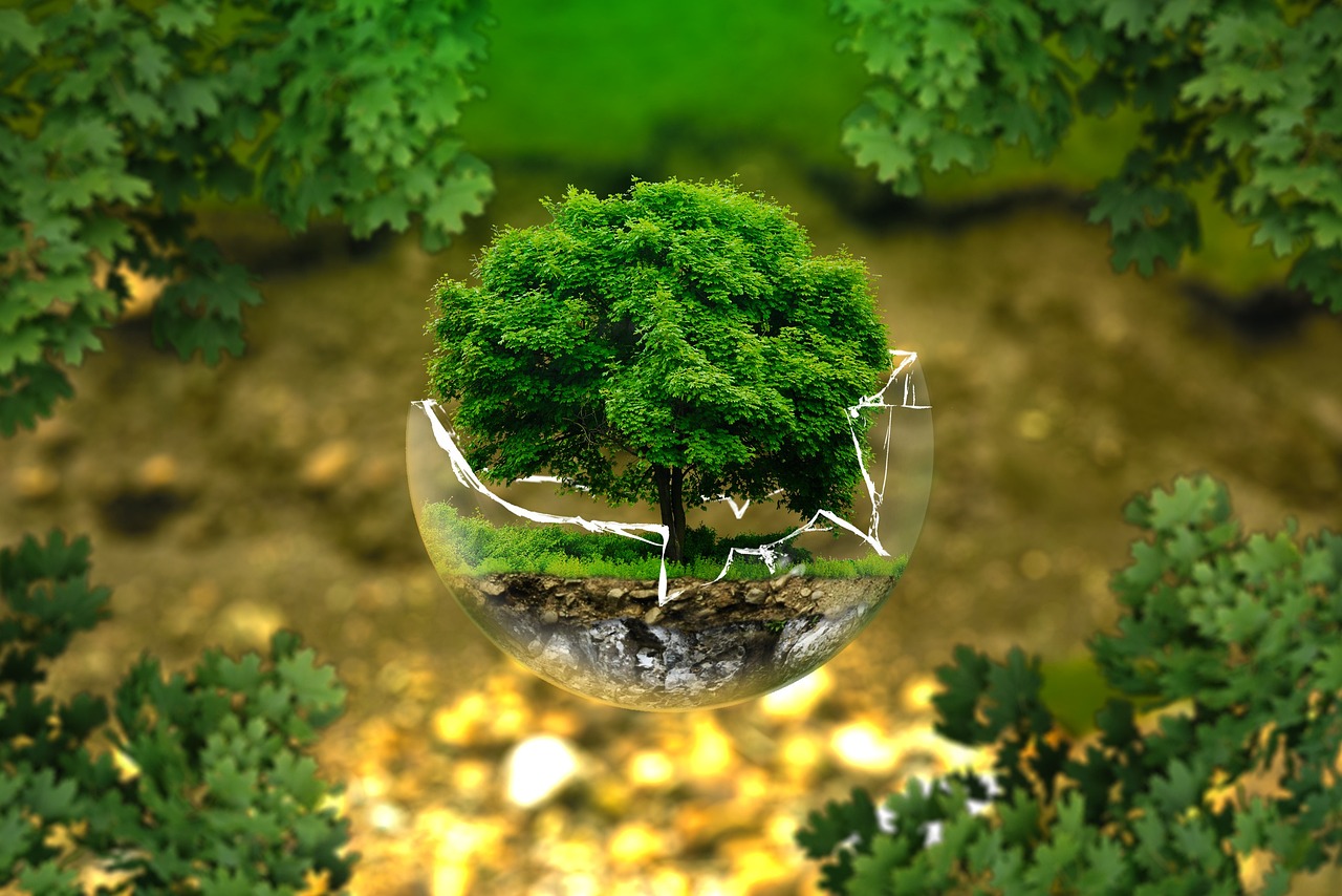 environmental protection natural reserve ecology eco bio glass sphere forest green organic life earth grow trees tree protection forest dieback b