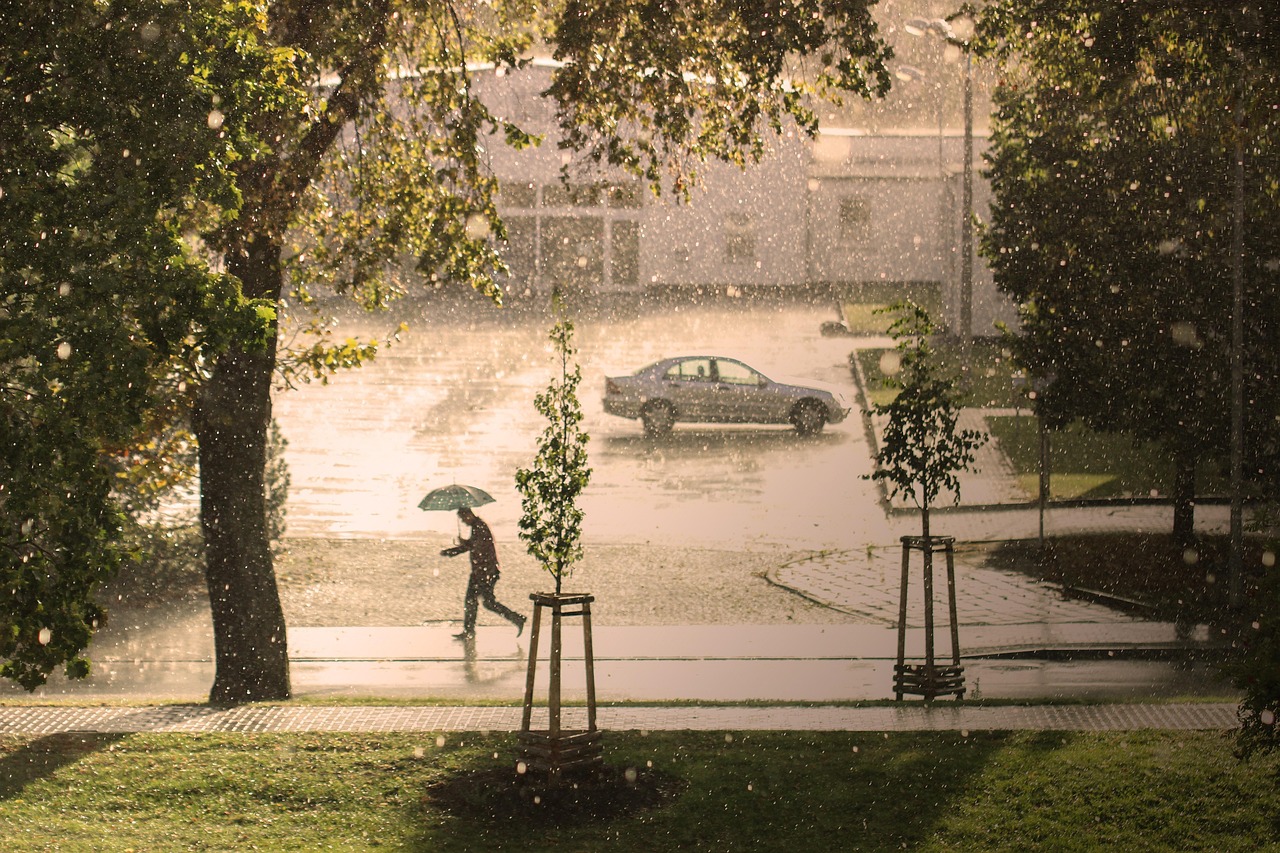 man umbrella rain nature hail storm run thunderstorm precipitate water climate road street urban city