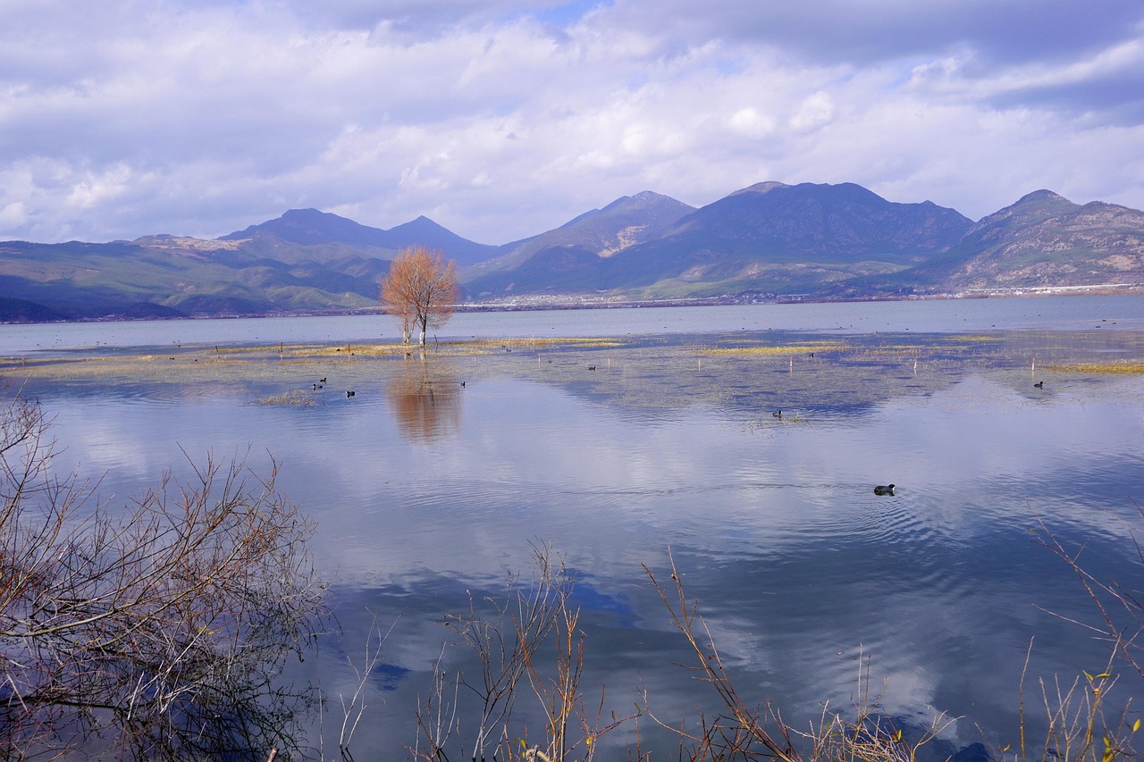 lijiang  lake  scenery  nature  outdoors  wilderness